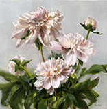 Stacy Barter